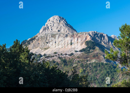 Mt Rocca di Novara, 1340 m, in der Nähe von Novara di Sicilia, Provinz Messina, Sizilien, Italien Stockfoto