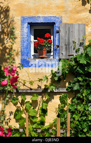 Kleines Fenster mit blühenden Geranien (Pelargonium zonale Hybriden) auf dem Häckerhaus Gebäude, ursprünglich aus Ergersheim, gebaut Stockfoto