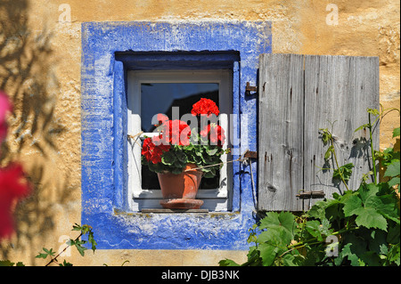 Kleines Fenster mit blühenden Geranien (Pelargonium zonale Hybriden) auf dem Häckerhaus Gebäude, ursprünglich aus Ergersheim, gebaut Stockfoto