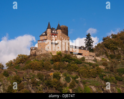 Katz Burg im Rheintal, Deutschland, Stockfoto