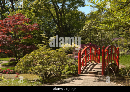 Rote Brücke im japanischen Garten im Park Clingendael, den Haag, Zuid-Holland, Niederlande Stockfoto