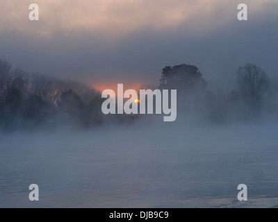 Sonne Aufgang über Bäumen gesäumten Nebel Rhein Stockfoto