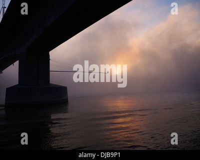 Sonne Aufgang über Bäumen gesäumten Nebel Rhein Stockfoto