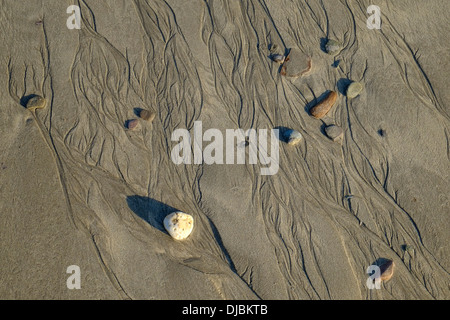 Nahaufnahme des Hintergrunds von Bächen und Kieselsteinen bei Ebbe an einem Sandstrand. South Devon, Großbritannien Stockfoto