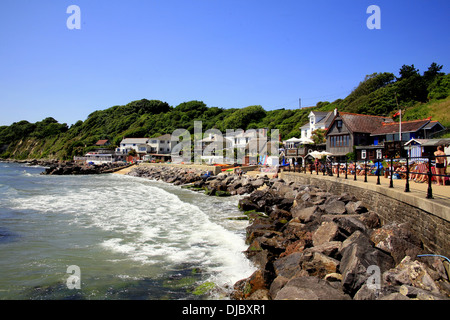 Ein Blick auf die Küste von steephill Cove, Ventnor, Isle of Wight. Stockfoto