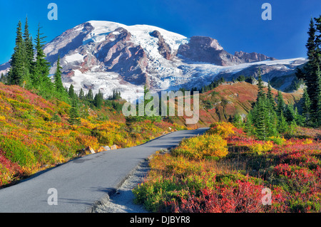 Herbstfarben und Sunrise mit Pfad in Mt. Rainier Nationalpark. Washington Stockfoto