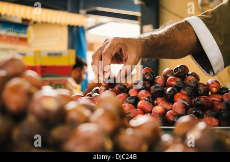 Termine sind sorgfältig von einem Anbieter in seinem Stall in Deiras Obst- und Gemüsemarkt angeordnet. Dubai, Vereinigte Arabische Emirate. Stockfoto