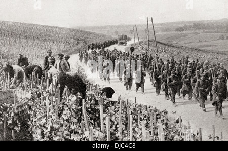Den Spuren des Krieges inmitten der ruhigen Weinberge des nördlichen Frankreich während des ersten Weltkriegs. Stockfoto