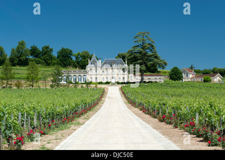 Schloss Fonplégade Wine Estate und Weinberge in Saint-Émilion im Departement Gironde in Aquitanien, Frankreich. Stockfoto