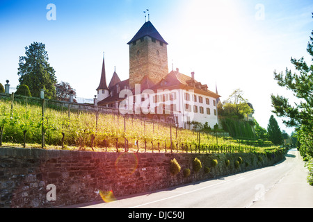 Schloss Spiez Thun See in der Schweiz, zentrale Erope Stockfoto