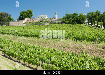 Weingut Clos la Madeleine und Weinberge in Saint-Émilion im Departement Gironde in Aquitanien, Frankreich. Stockfoto