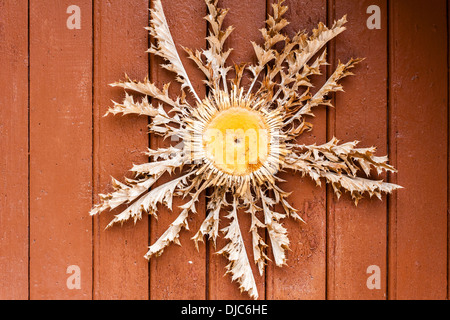 Getrocknete Cardabelle Blume an die Tür des Hauses in Saint-Guilhem-le-Désert, Languedoc-Roussillon, Frankreich Stockfoto