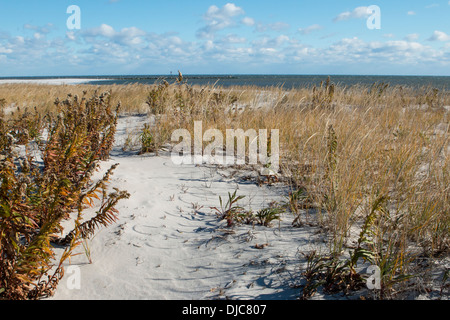 Barnegat Leuchtturm State Park Strand Stockfoto