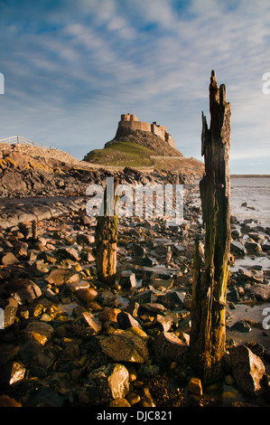 Holy Island und das Schloss, das den Hafen Lindisfarne Burg verteidigt Stockfoto