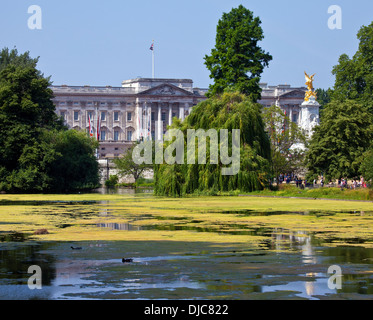 Die Ansicht des Buckingham Palace, St. James Park in London. Stockfoto