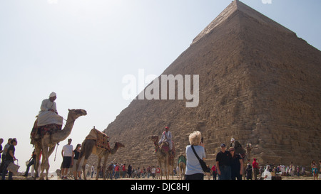 Kamele vor der Pyramide des Khaefre (oder Chephren), Giza. Ägypten. Stockfoto