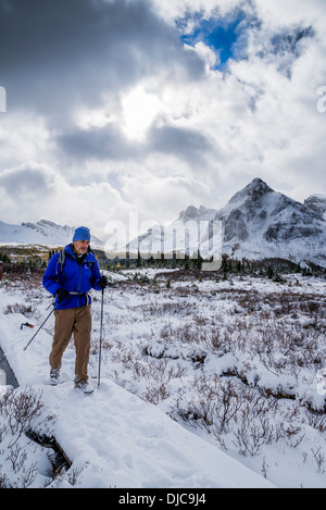 Wanderer im Winter, Mount Assiniboine Provincial Park in British Columbia, Kanada Stockfoto