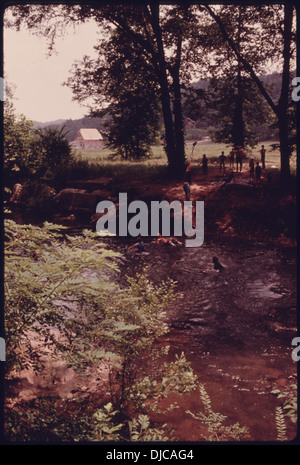 Kinder spielen auf einer Seilschaukel am Big Rock, einem beliebten Spielplatz am Chattahoochee River, der etwa 250 Meter vom Ufer entfernt liegt. Die Gegend ist bekannt für ihre Freizeitaktivitäten und die natürliche Schönheit. Stockfoto