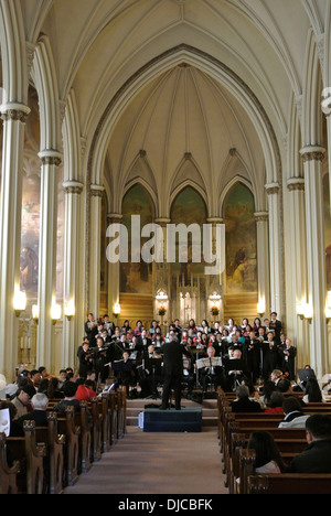 Gratis-Konzert im St. Francis von Assisi in North Beach in San Francisco Stockfoto