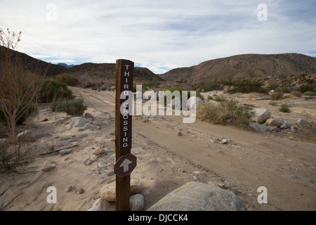 Foto MARK JOHNSON/IRONSTRING. Ein Wegweiser markiert dritten Kreuzung, Kreuzungspunkt im Coyote Canyon der Anza Borrego Deser waschen Stockfoto