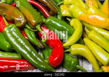 Eine Bulk-Anzeige von bunten Peperoni bereit für den Einsatz in der Küche Stockfoto