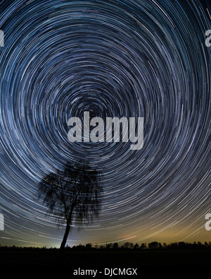 Sternenhimmel mit Bäumen, Niedersachsen, Deutschland – montage Stockfoto