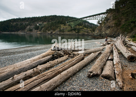 Treibholz am Ufer und Deception Pass Bridge In der Ferne; Oak Harbor, Washington, Vereinigte Staaten von Amerika Stockfoto