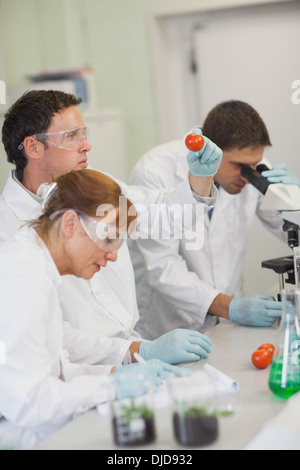 Reihe von Wissenschaftlern, die mit verschiedenen Geräten Stockfoto