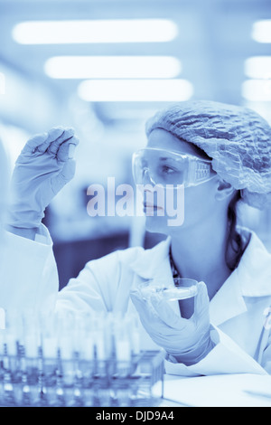 Ernsthaften Studenten eng mit Blick auf neue Pille Stockfoto