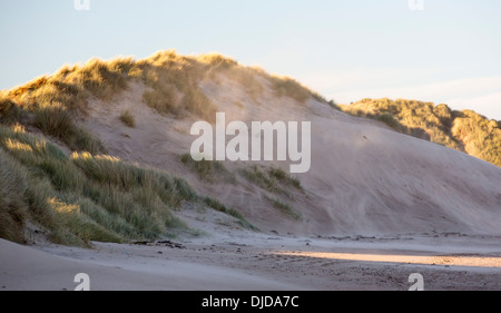 Sand in einen Sandsturm weht bei windigem Wetter auf Sanddünen am Alnmouth, Northumberland, UK. Stockfoto