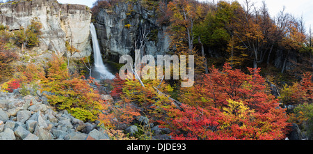 Chorrillo del Salto.El Chalten.Patagonia.Argentina Stockfoto