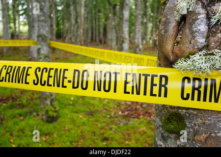 Verbrechen-Szene Klebeband umwickelt Bäume im Wald. Stockfoto