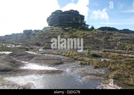 Die seltsame Landschaft nahe dem Gipfel (El Carro) des Mount Roraima (Tepui) in Venezuela. Der Gipfel ist in der Ferne. Stockfoto