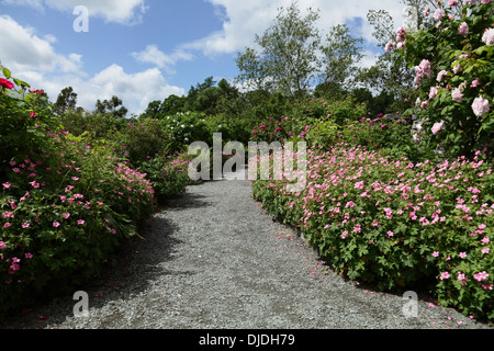 Weg durch die Gärten an der Brockhole Besucherzentrum im Lake District, Cumbria, England, UK Stockfoto