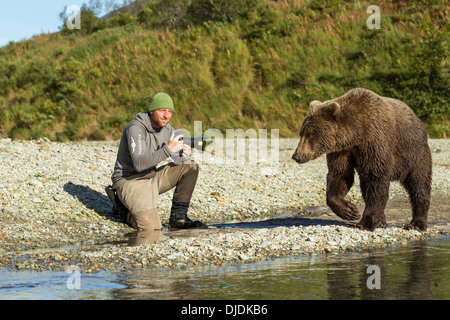 USA, Alaska, Katmai Nationalpark, Schweizer Biologe und Fotograf David BItner Fotografien Braunbär Katmai Küste Stockfoto