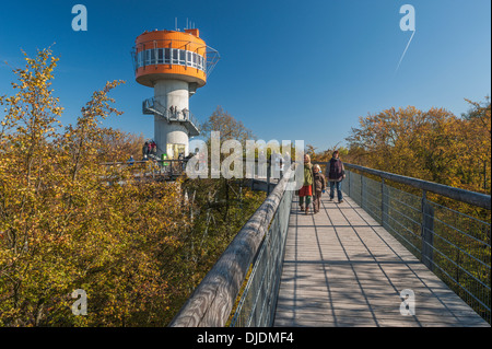 Treetop walk mit Aussichtsturm, Nationalpark Hainich, Bad Langensalza, Thüringen, Deutschland Stockfoto