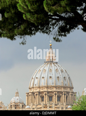 Green Pine mit der Kuppel des Petersdom im Vatikan Stockfoto