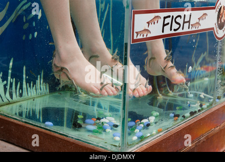 Garra Rufa Fische Therapie, Sultaniye Thermen am See Köyceğiz oder Köyceğiz Gölü in der Nähe von Dalyan, Provinz Muğla, Türkei Stockfoto