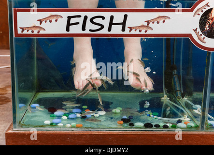 Garra Rufa Fische Therapie, Sultaniye Thermen am See Köyceğiz oder Köyceğiz Gölü in der Nähe von Dalyan, Provinz Muğla, Türkei Stockfoto