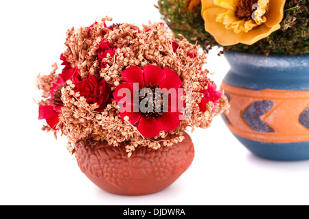 Blumen in Vasen isoliert auf weißem Hintergrund. Stockfoto