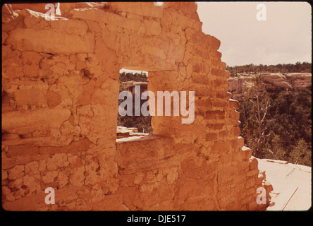 Der Cliff Palace, ein gut erhaltenes altes, indianisches Klippenhaus in Colorado, wurde zwischen 1100 und 1300 n. Chr. erbaut und zeigt die architektonischen Fähigkeiten und kulturellen Praktiken der angestammten Puebloans. Stockfoto