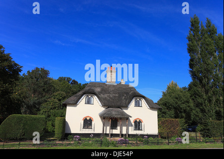 Eine idyllische Reetdachhaus in der Nähe von Wicklewood, Norfolk, Großbritannien. Stockfoto