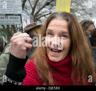 Barton Moss, Eccles, Manchester, UK. 27. November 2013.  Frances Leader aus Frack gratis Dorset und andere bei IGas Energie Bohrgerät Website & Eco-Schutz Protest CP am Barton Moss in Salford, Manchester animiert. Fracking Fokus rückt nach Nordwesten, wo IGas Energie bald zu bohren, um Methan zu erkunden beginnen will. Eine Reihe von Anti-Fracking Anti-Schiefergas Gruppe protestiert bei der Ankunft der Bohrausrüstung Gasbohrungen bauseits in Salford. IGas hat die Berechtigung von Salford und Trafford Rat für Explorationsbohrungen für Kohle-Bett Methan. Bildnachweis: Mar Photographics/Alamy Live Ne Stockfoto