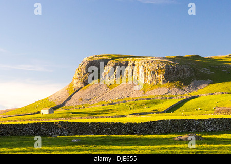 Robin aufsichtführenden Narbe, einem Kalksteinfelsen zwischen Clapham und Austwick in den Yorkshire Dales, UK. Stockfoto