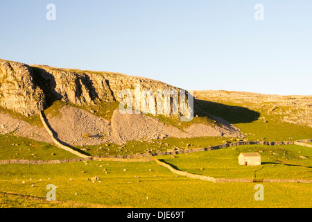 Robin aufsichtführenden Narbe, einem Kalksteinfelsen zwischen Clapham und Austwick in den Yorkshire Dales, UK. Stockfoto