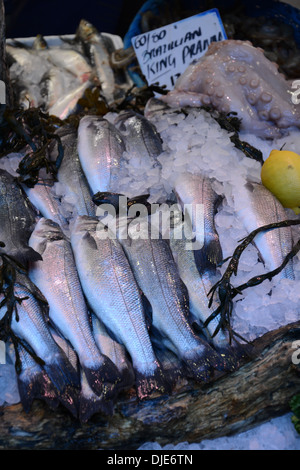 Nassen Fischmarkt für den Verkauf auf A Stall Stockfoto