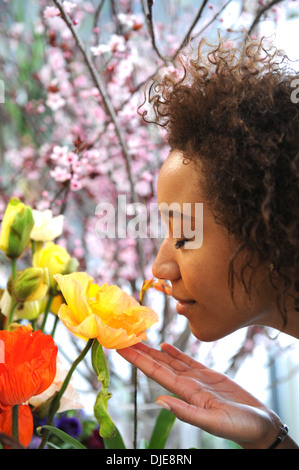 Konsum: Frau frische Blumen riechen. Stockfoto