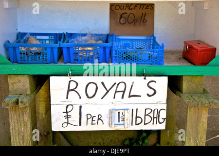 Jersey Royal Kartoffeln, Jersey, Kanalinseln Stockfoto