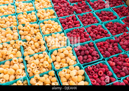 Himbeeren rot und gelb in kleinen Boxen auf dem Markt Stockfoto
