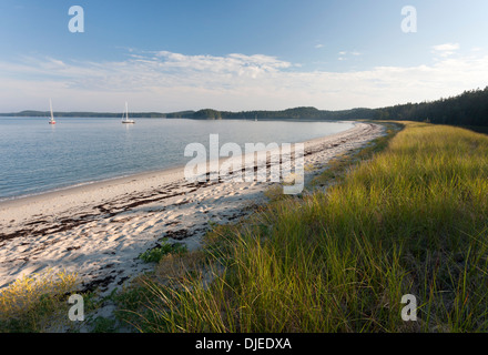 Ein langgezogenen Halbmond aus weißem Sand und Rasen bei Great Beach, Roque Island, Maine, USA und mehrere Segelboote verankert in der Nähe Stockfoto